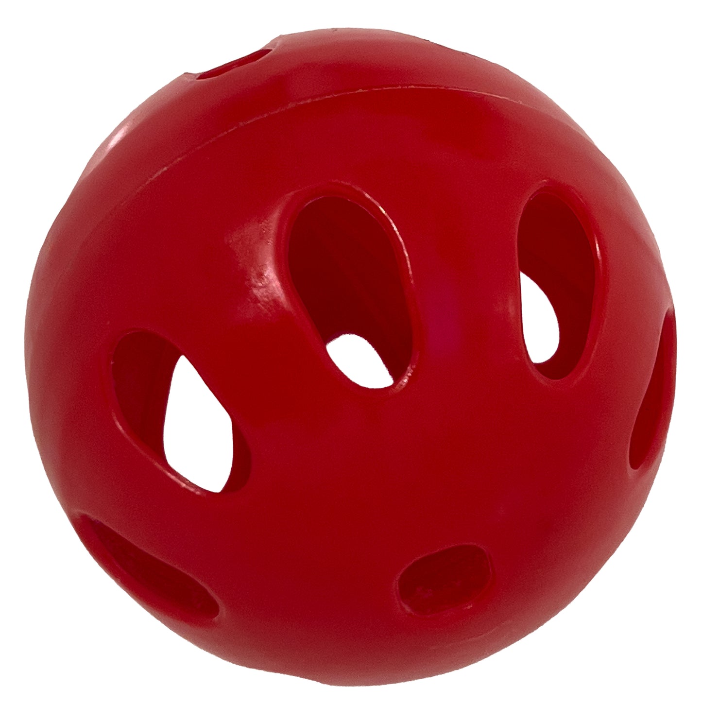 Premium Practice Softballs (6 Pack)